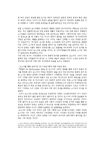 양철북 작품분석-8