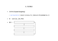[재무관리] 제5장 자본자산-2