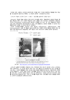 [조직행위론 A+ 레포트] 학습-4