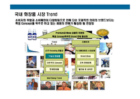[기능성화장품 수입 판매 사업계획서] 기능성화장품 수입 판매사업계획-4