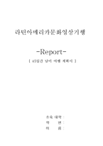 [남아메리카] 45일간의 남미여행 계획서-1