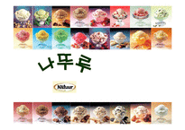 [마케팅] 프리미엄 아이스크림 나뚜루 마케팅-1