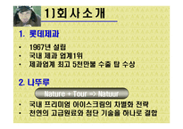 [마케팅] 프리미엄 아이스크림 나뚜루 마케팅-6