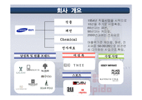 [마케팅] 제일모직 마케팅 분석-3