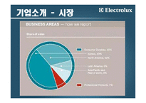[국제경영] 일렉트로룩스(Electrolux) 해외인수합병전략-7
