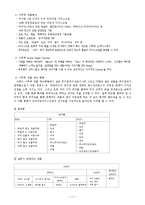 [마케팅] 프리미엄 아이스크림 나뚜루 마케팅-11