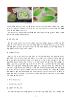 [마케팅] 프리미엄 아이스크림 나뚜루 마케팅-16