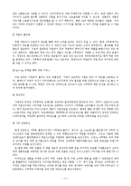 [마케팅] 프리미엄 아이스크림 나뚜루 마케팅-17