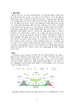 [마케팅] 오르콤 PDP TV 마케팅전략분석-2