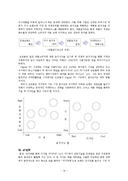[마케팅] 오르콤 PDP TV 마케팅전략분석-18