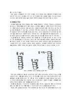 [아동 수학, 과학 지도] 측정-10