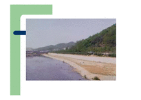[도시환경문제] 도시 하천정비사업을 중심으로-2