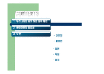 [도시환경문제] 도시 하천정비사업을 중심으로-6