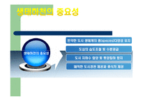 [도시환경문제] 도시 하천정비사업을 중심으로-8