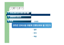 [도시환경문제] 도시 하천정비사업을 중심으로-9