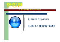 [도시환경문제] 도시 하천정비사업을 중심으로-12