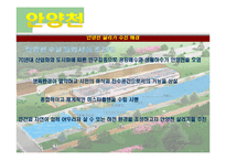 [도시환경문제] 도시 하천정비사업을 중심으로-15