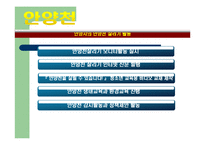 [도시환경문제] 도시 하천정비사업을 중심으로-17