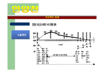 [도시환경문제] 도시 하천정비사업을 중심으로-18