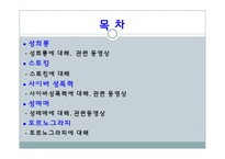 [사회문제] 성희롱, 스토킹, 사이버 성폭력, 성매매, 포르노그라피-2