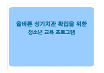 [청소년 교육론] 올바른 성가치관 확립을 위한 청소년 교육 프로그램-1