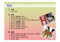 [청소년문제] 청소년 성문제(상업적 성착취)-2
