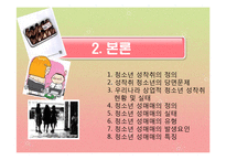 [청소년문제] 청소년 성문제(상업적 성착취)-3