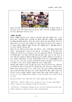 [남미문화] 페루-9