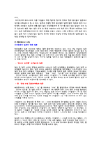 [일본문화] 한류열풍의 허와 실-5