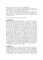 [일본문화] 한류열풍의 허와 실-7