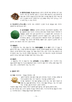 [다례 레포트] 일본차(茶)-16