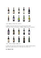 [관광과 외식문화] 이탈리아와 프랑스-20