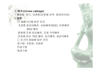 [식품재료학] 엽경채류-2