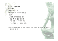 [식품재료학] 엽경채류-11