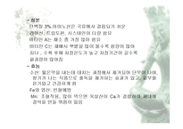 [식품재료학] 엽경채류-12