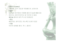 [식품재료학] 엽경채류-15