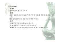 [식품재료학] 엽경채류-19