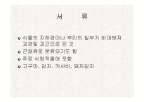 [식품재료학] 감자-2