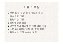 [식품재료학] 감자-3