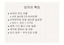 [식품재료학] 감자-5
