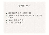 [식품재료학] 감자-6