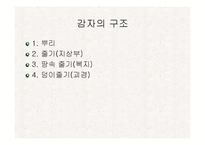 [식품재료학] 감자-8