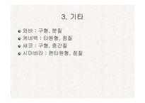 [식품재료학] 감자-17