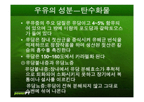 [식품재료학] 우유-6