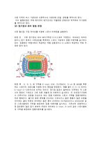 [스포츠 스폰서십] 수원삼성구단의 스폰서십 프로그램 강화 전략 -영국 명문 축구 클럽 첼시 비교-11