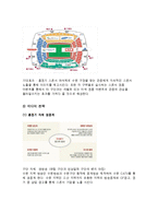 [스포츠 스폰서십] 수원삼성구단의 스폰서십 프로그램 강화 전략 -영국 명문 축구 클럽 첼시 비교-12
