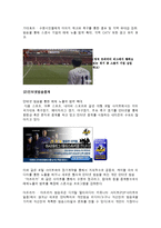 [스포츠 스폰서십] 수원삼성구단의 스폰서십 프로그램 강화 전략 -영국 명문 축구 클럽 첼시 비교-13