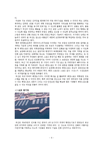 [스포츠관광] 부산 스포츠 관광 활성화 방안-14