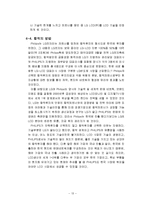 [국제경영전략] LG전자와 필립스의 전략적 제휴-13
