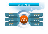 [창업학, 사업계획서] 유아용품 판매 및 서비스-3